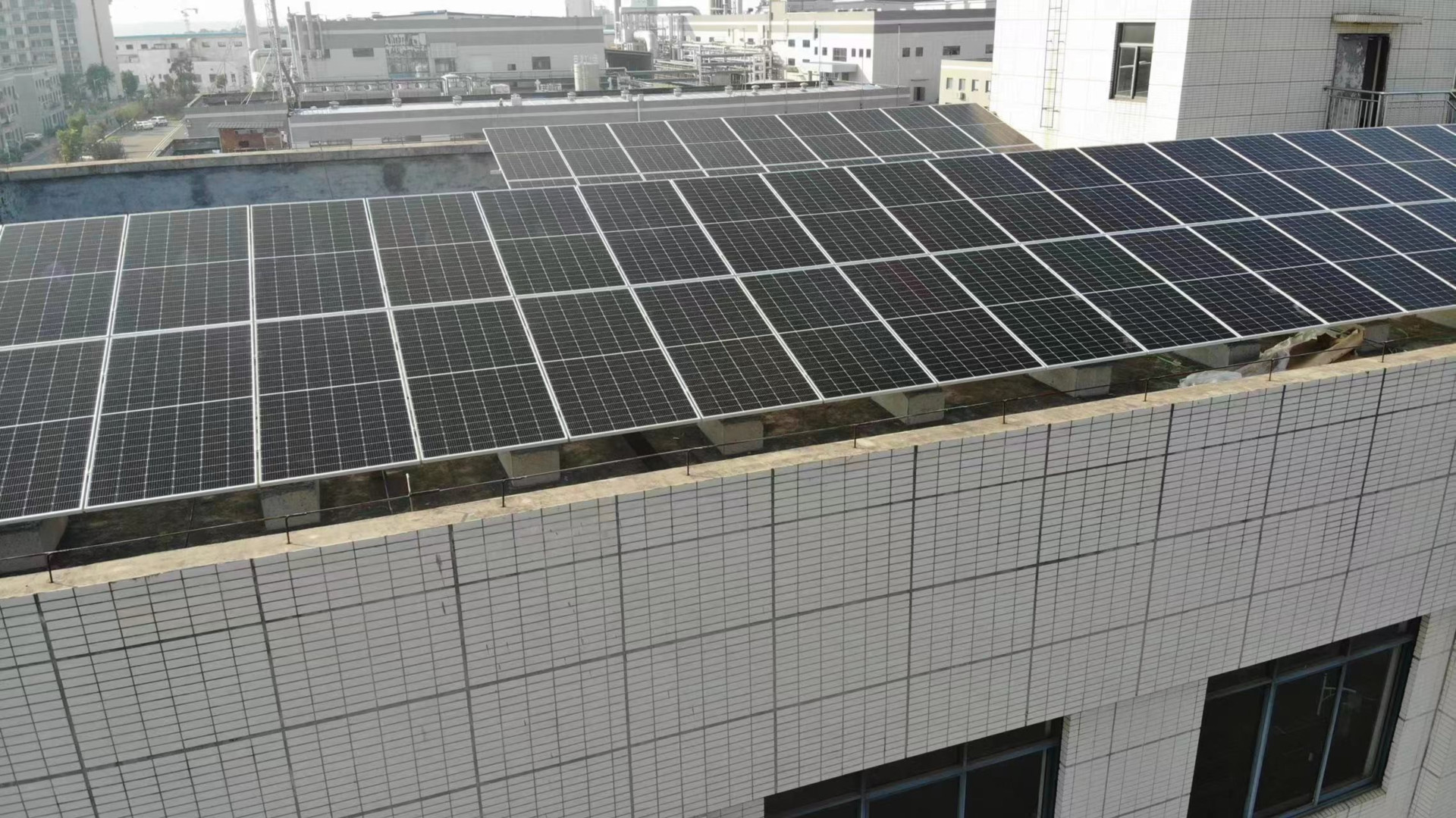 Honeyview_08028.jpg Honeyview_08028.jpg